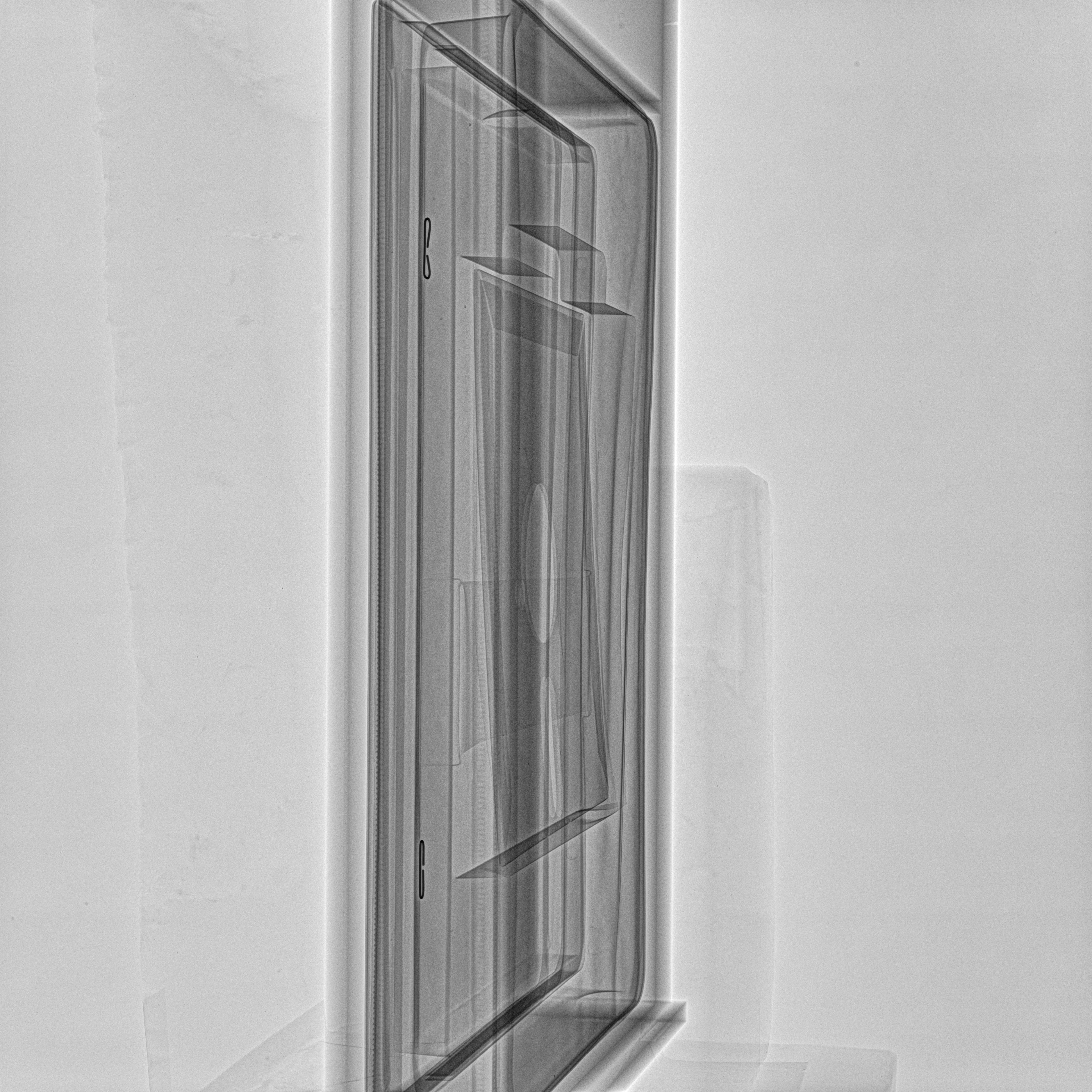 [X Ray lato Mickey Mouse in the Great Outdoors]